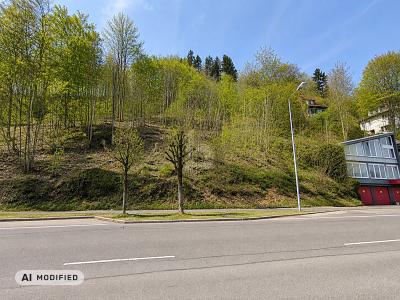 BAUEN MIT AUSSICHT UND FREIRAUM - Grundstück Albstadt | Angebot:27329246